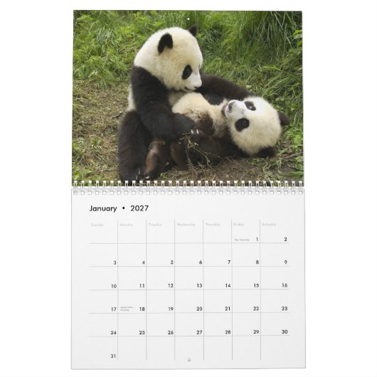 Pandas Wall Agenda Kalender (Jan 2027)