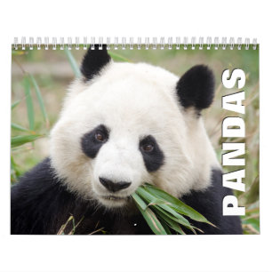 Pandas Wall Agenda Kalender