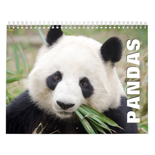 Pandas Wall Agenda Kalender (Hoes)