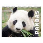Pandas Wall Agenda Kalender (Hoes)