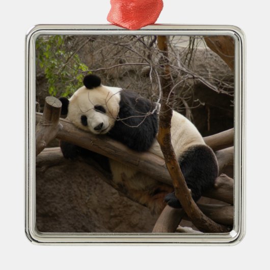 PandaSD003 Metalen Ornament (Voorkant)
