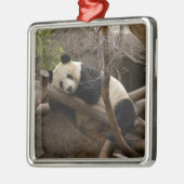 PandaSD003 Metalen Ornament (Links)