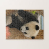 PandaSD009 Legpuzzel (Horizontaal)