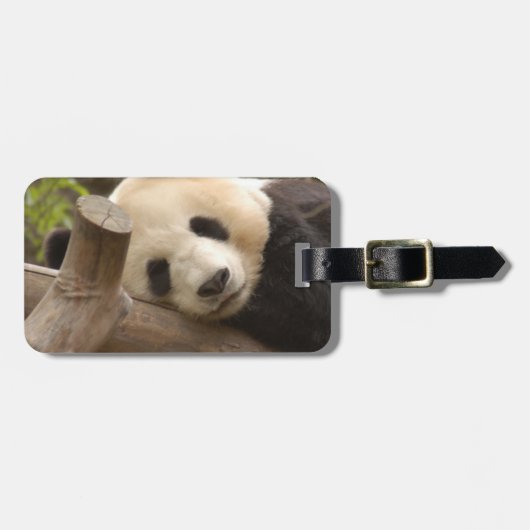 PandaSD010 Bagagelabel (Voorkant horizontaal)
