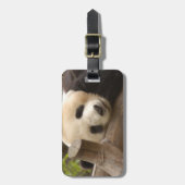 PandaSD010 Bagagelabel (Voorkant verticaal)