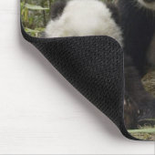 pandemie muismat (Hoek)