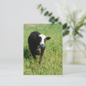 Pandi Briefkaart (Staand voorkant)