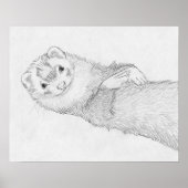 "Pandora" Ferret Drawing Poster (Voorkant)