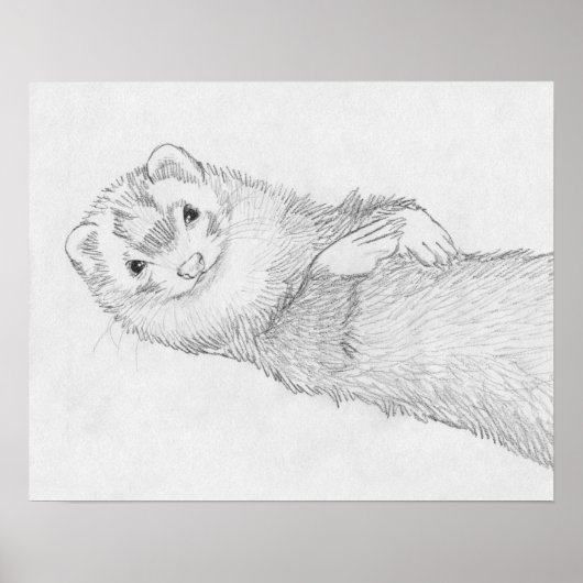 "Pandora" Ferret Drawing Poster (Voorkant)