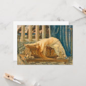 Pandora | Walter Crane Kaart (Voorkant / Achterkant in situ)