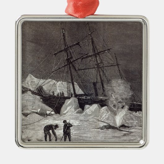 Pandora zit in het ijs. metalen ornament (Voorkant)