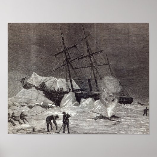 Pandora zit in het ijs. poster (Voorkant)