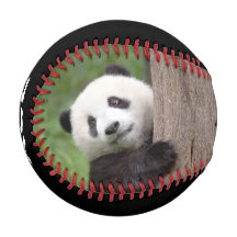 Panduuskubusvormig honkbal
