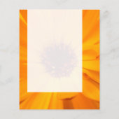 Paneel 026 - Oranje Goudsbloem Flyer (Achterkant)
