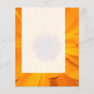 Paneel 026 - Oranje Goudsbloem Flyer