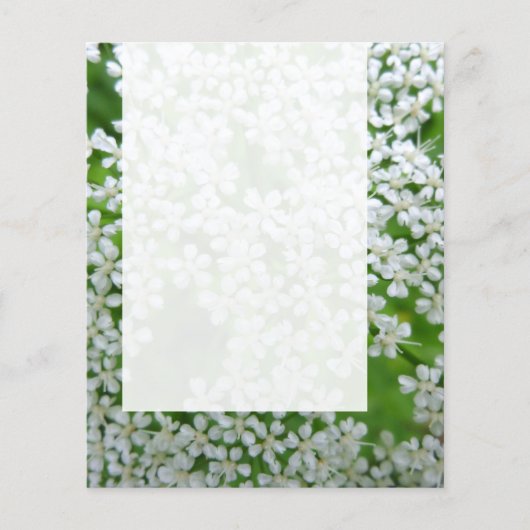 Paneel 02 - Fluitenkruid Flyer (Voorkant)