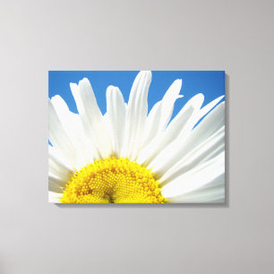 Paneel Kunst Prints Witte Madeliefjes Bloem Blauwe