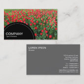 Paneel met halve cirkel (stippen) - Bed van rode t Visitekaartje (Voorkant / Achterkant)