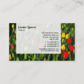 Paneel - Tulpen Visitekaartje (Achterkant)