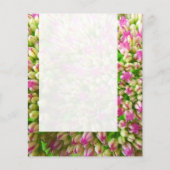 Panel 0110 - Sedum "Autumn Joy" (B&W) Flyer (Achterkant)