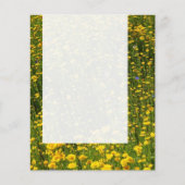 Panel 0114 — Field of Yellow Daisies Flyer (Voorkant)
