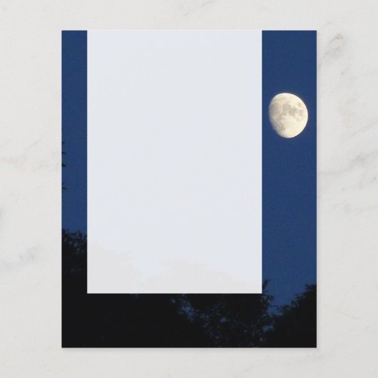 Panel 025 - Moon Flyer (Achterkant)