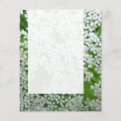 Panel 02 — Koe peterselie Flyer (Achterkant)