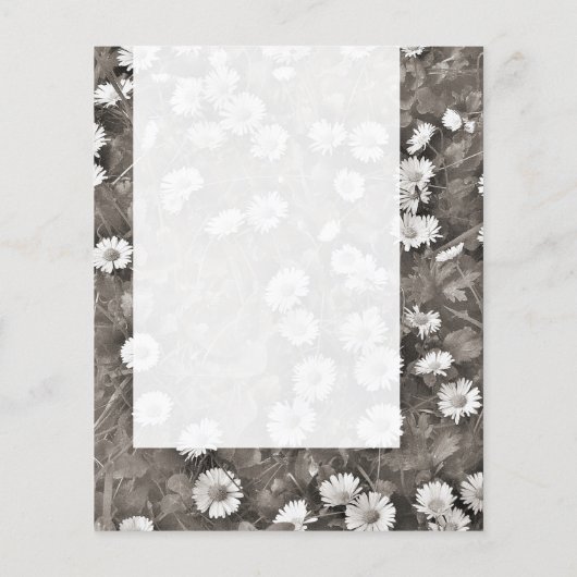 Panel 036 - The Ancient of Daisies Flyer (Achterkant)