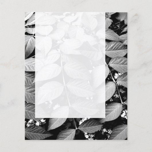 Panel 037 — Leaves Flyer (Voorkant)