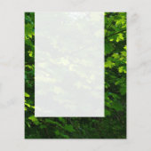 Panel 039 - Summer Leaves Flyer (Achterkant)