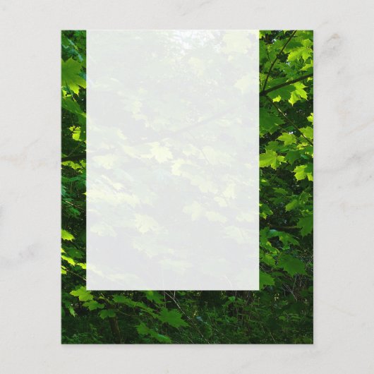 Panel 039 - Summer Leaves Flyer (Voorkant)