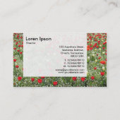 Panel - Bed of Tulps Visitekaartje (Achterkant)