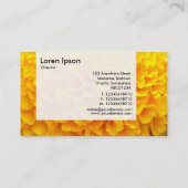 Panel — Oranje Chrysanthemum Visitekaartje (Achterkant)