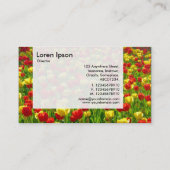 Panel — Zee Tulpen Visitekaartje (Achterkant)