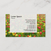 Panel — Zee Tulps II Visitekaartje (Achterkant)