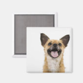 Panelhond Magneet (Voorkant / Achterkant)