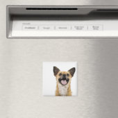 Panelhond Magneet (Insitu (Vaatwasser))