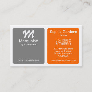 Panels - Grijs en Oranje Visitekaartje