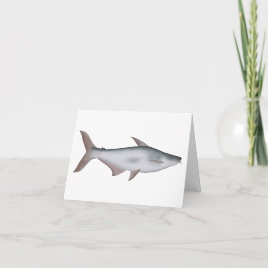 Pangas Catfish Notitiekaartje (Voorkant)