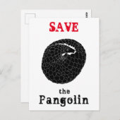 Pangolin bedreigde diersoorten briefkaart (Voorkant / Achterkant)