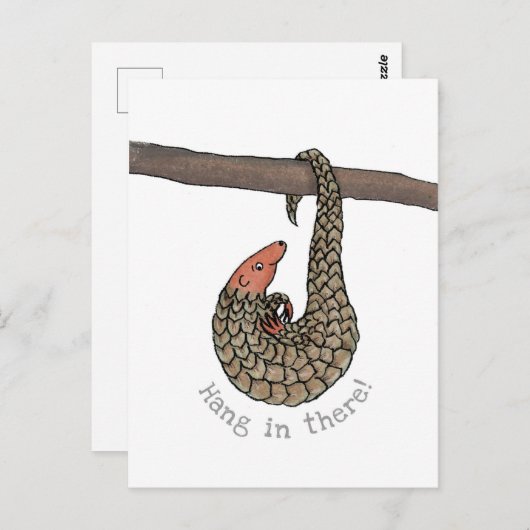 Pangolin 'hang in daar' briefkaart (Voorkant / Achterkant)