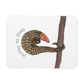 Pangolin 'hang in daar' koelkast magneet (Horizontaal)