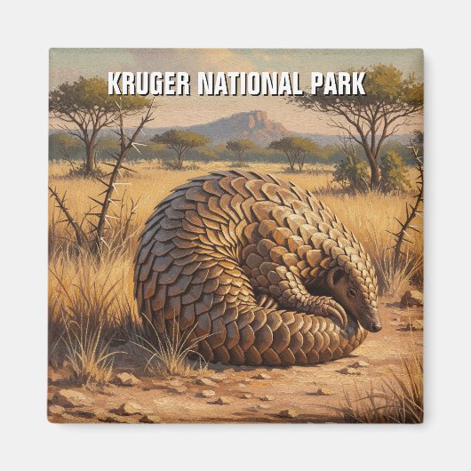 Pangolin in het Kruger National Park in Zuid-Afrik Magneet (Voorkant)