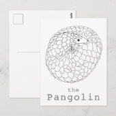 Pangolin opgerolde eenvoudige tekening briefkaart (Voorkant / Achterkant)
