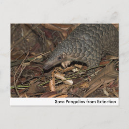 Pangolins opslaan vanaf het Briefkaart Uitsterven
