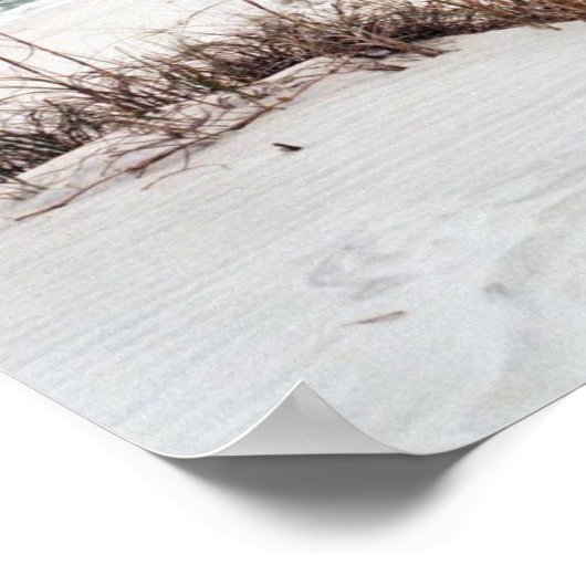 Panhandle Beach Poster (Hoek)