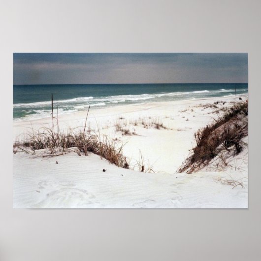 Panhandle Beach Poster (Voorkant)
