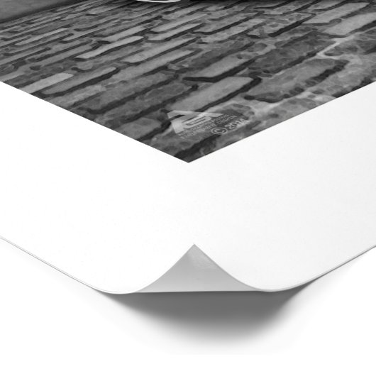 Panhard 24CT Poster Illustratie (Hoek)