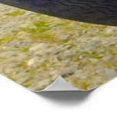 Panhard Dyna Z, franse auto. Poster (Hoek)