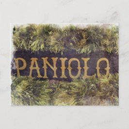 Paniolo met Lei Briefkaart